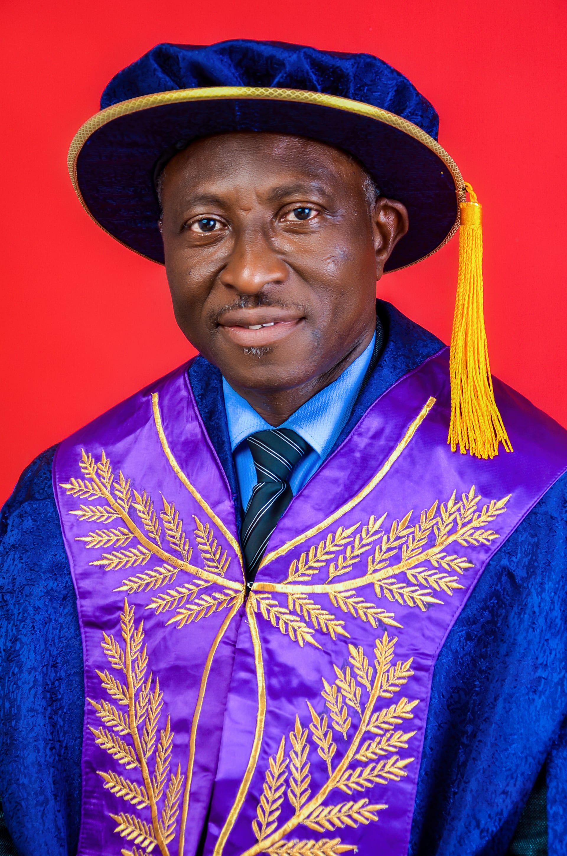 Portrait of the Vice-Chancellor